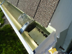rain water collection gutters